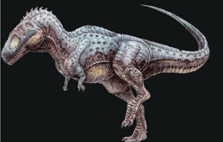 Tyrannotitan Bite Force Psi T. Rex’s Had The Strongest Bite Of Any Known Land Animal