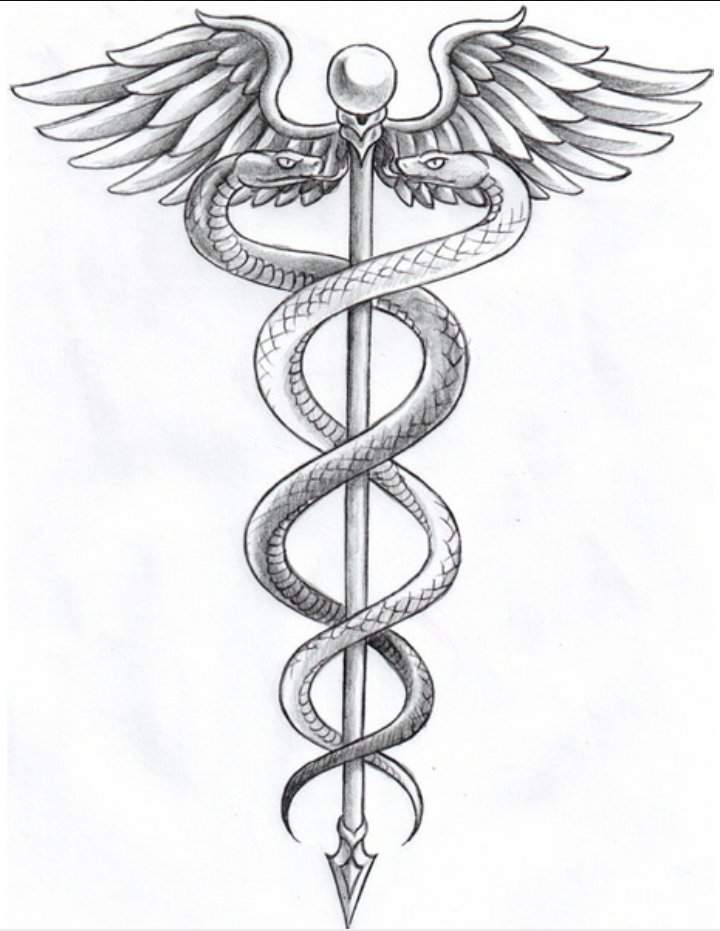 The Caduceus | Wiki | alchemy is the key Amino