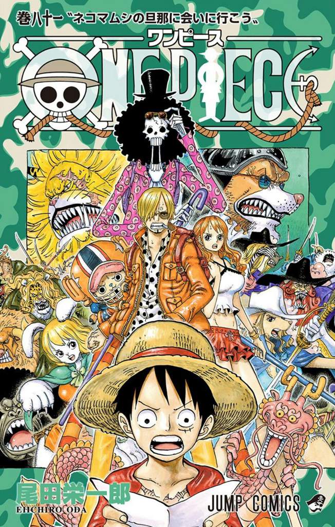 Capítulo 808 Wiki •One Piece• Amino