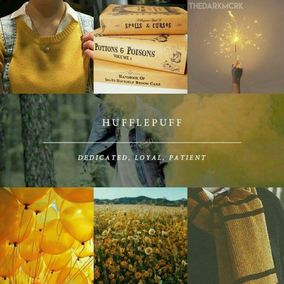 Les Maisons & leurs valeurs Harry Potter Fr Amino