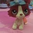 amino-Starlight Moon Lps-09c4bd01