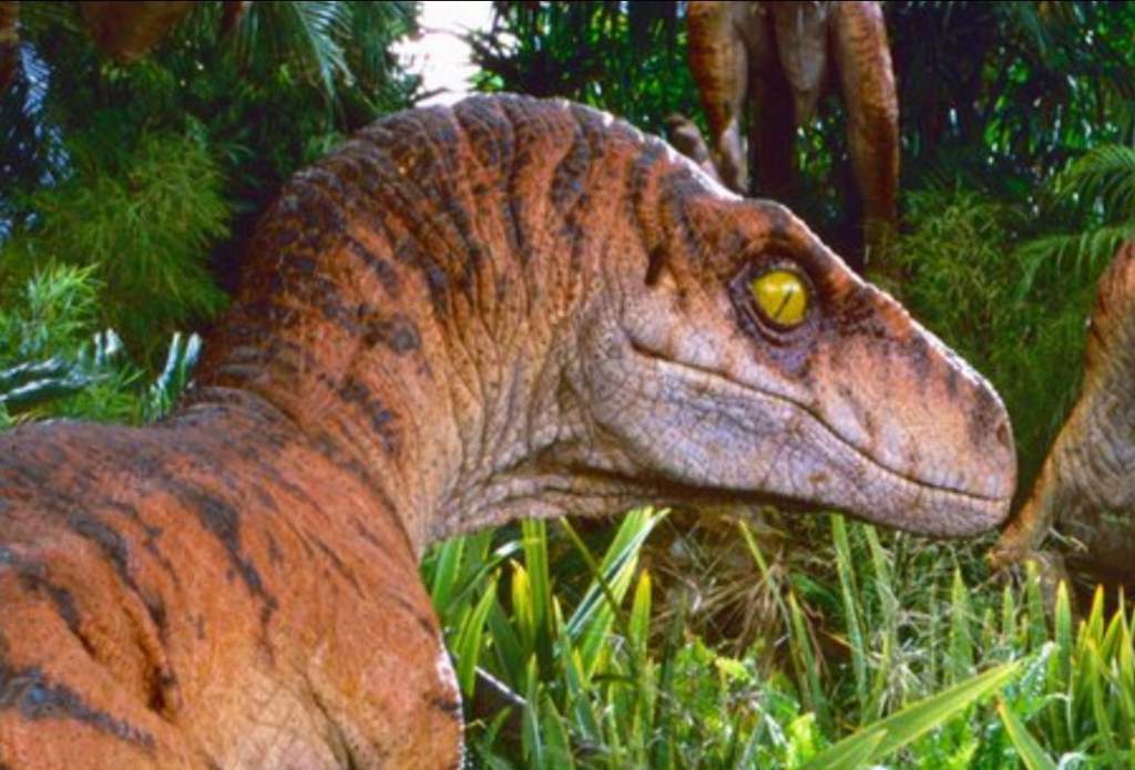 jurassic park tiger velociraptor