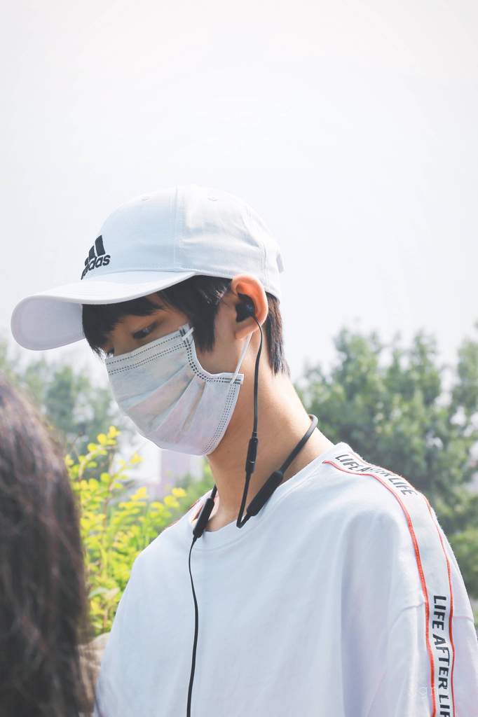 Ding Chengxin | Wiki | TF家族 - TFFamily Amino