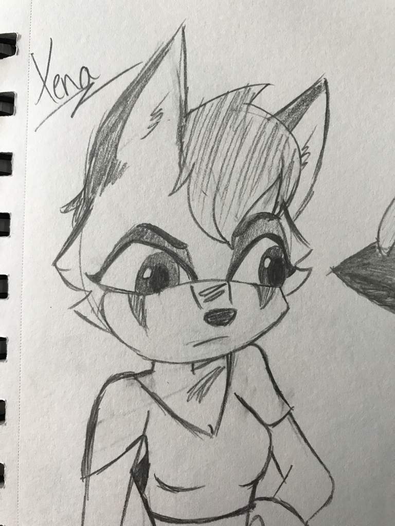 Xena the Arctic Fox | Wiki | Sonic the Hedgehog! Amino