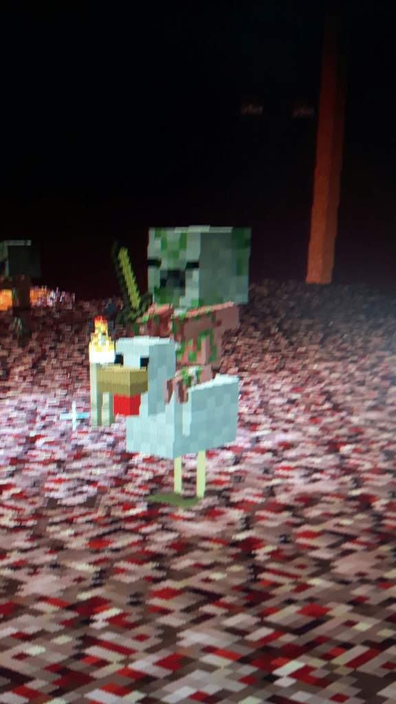 Baby Zombie Pigman On A Chicken In The Nether Minecraft Amino