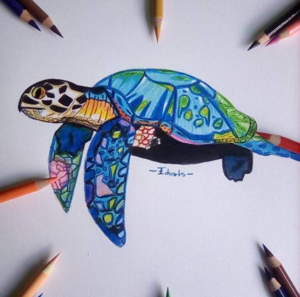 🐢 tortuga marina 🐢 | •Arte Amino• Amino