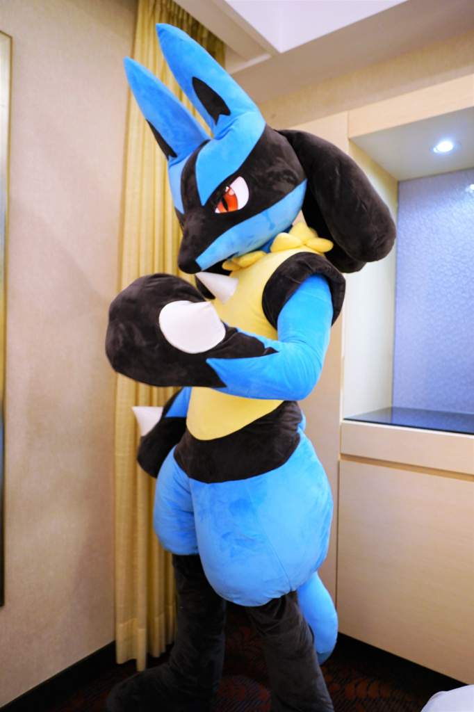 lucario body pillow