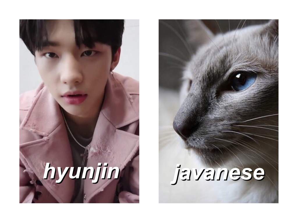 hyunjin stuffed animal