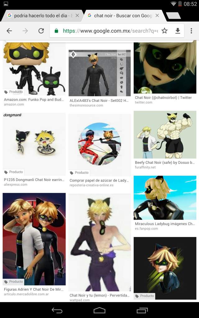 Adrienchat Noir Wiki Miraculous Ladybug Español Amino