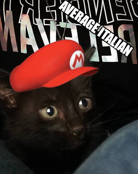 cat mario hat