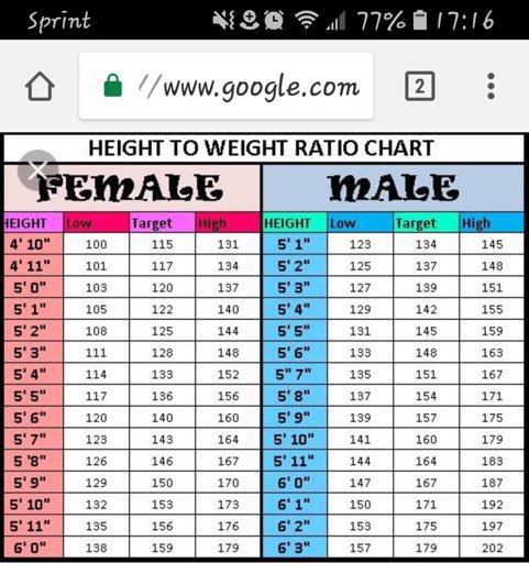 Height to weight ratio for human OCs | Transformers Prime Amino