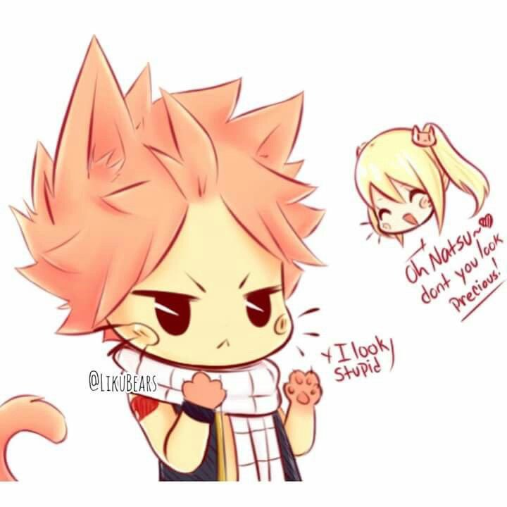 SUPER CUTE NALU MOMENTS!!! | Fairy Tail Amino