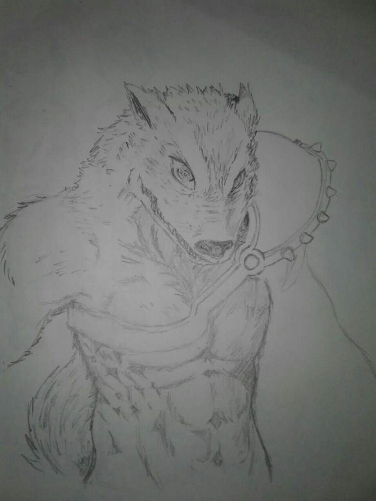 Dibujo de hombre Lobo | •MangaPublish• Amino