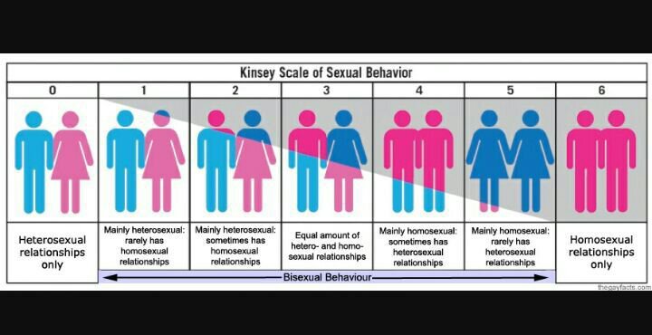 kinsey scale official test