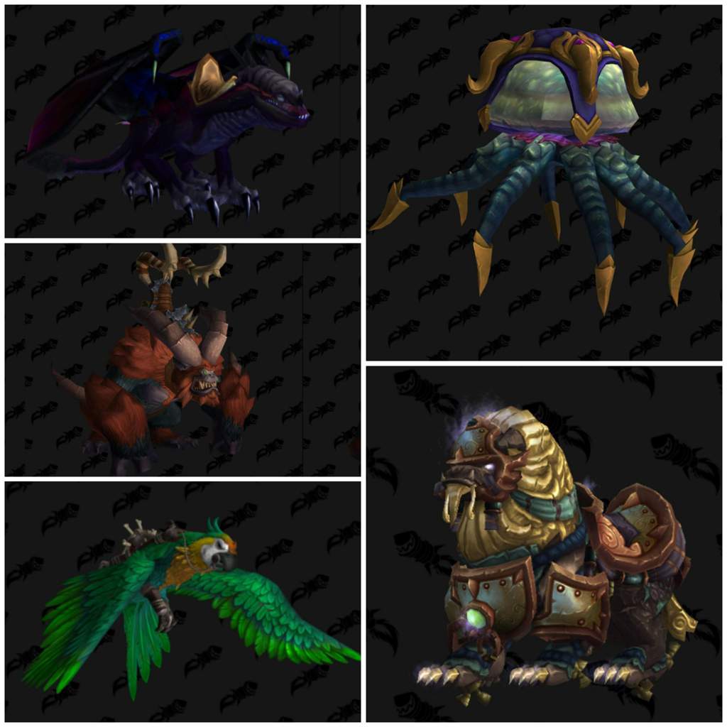 island expeditions wow mounts