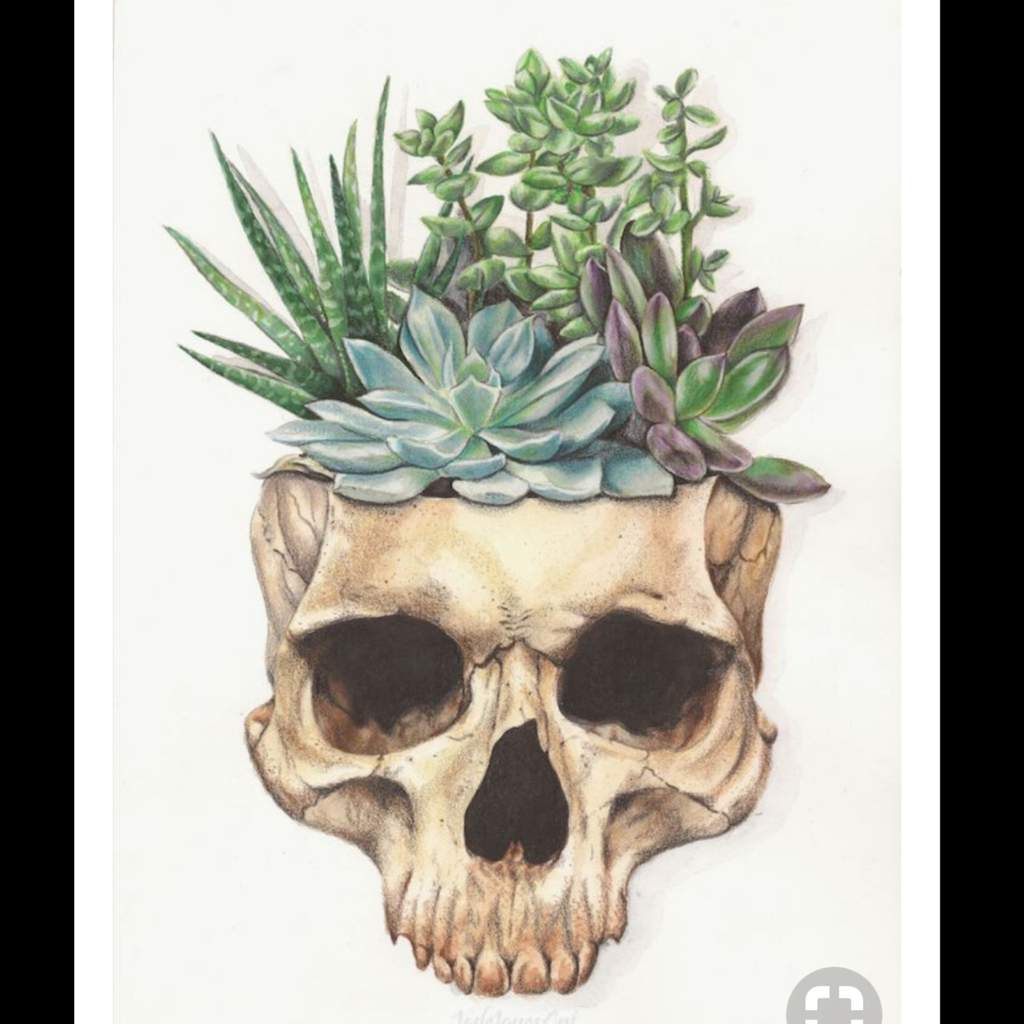 Skull Aesthetic - Art | Horror Amino