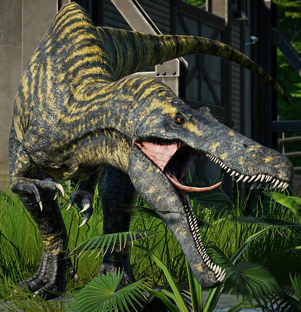 Suchomimus Wiki ⚪jurassic Park Amino⚪ Amino 