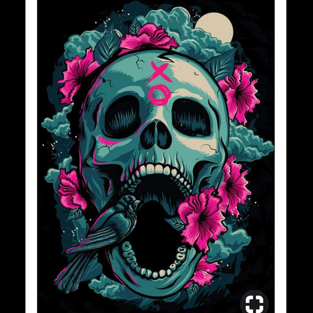 Skull Aesthetic - Art | Horror Amino