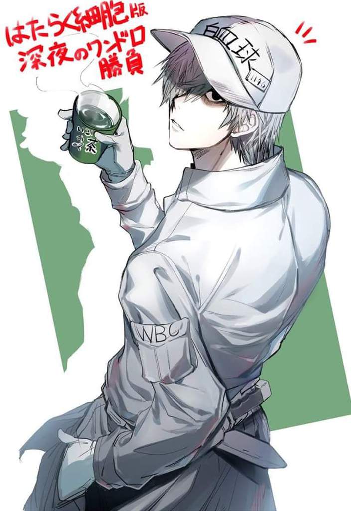 Hataraku Saibou Fanart Anime City Amino