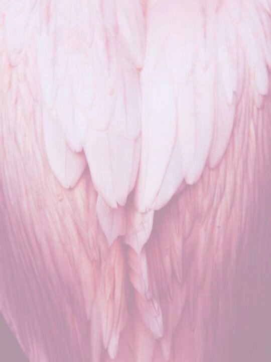 Pale Pink Aesthetic | Wiki | Popthetics Amino