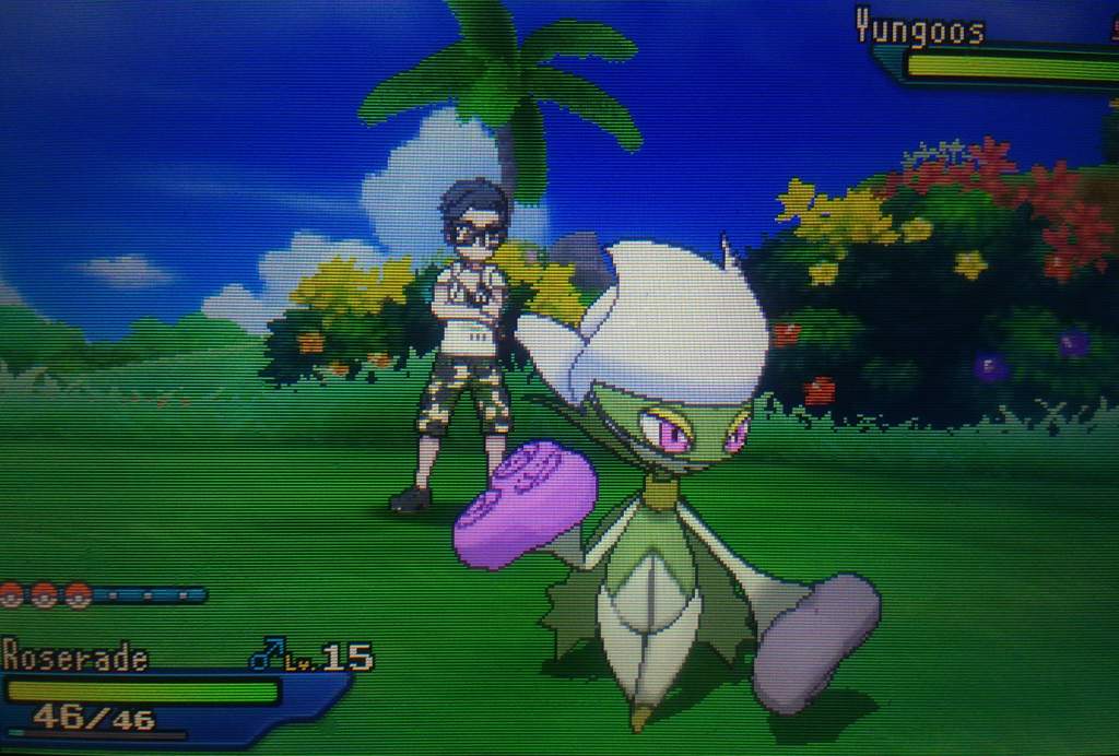 Mm Shiny Roserade Blooms From The Brambles Shiny Pokemon Amino Amino Mm Shiny Roserade Blooms From The Brambles Shiny Pokemon Amino Amino