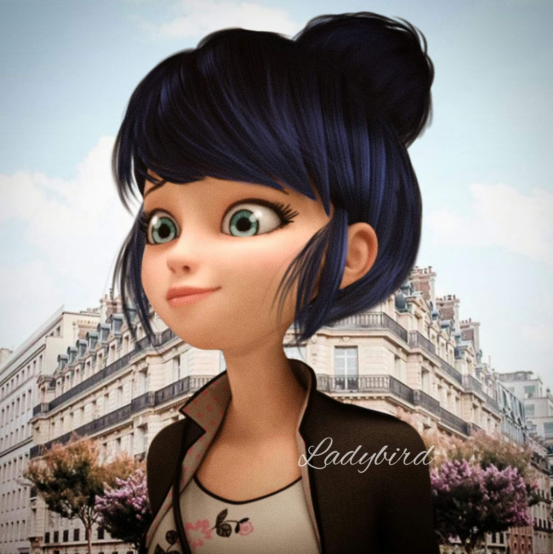 Marinette with bun hairstyle| edit by Ladybird | Miraculous Amino