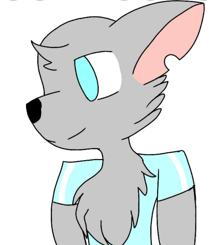 Senpai made a furry :DD | Stariaat Official Amino