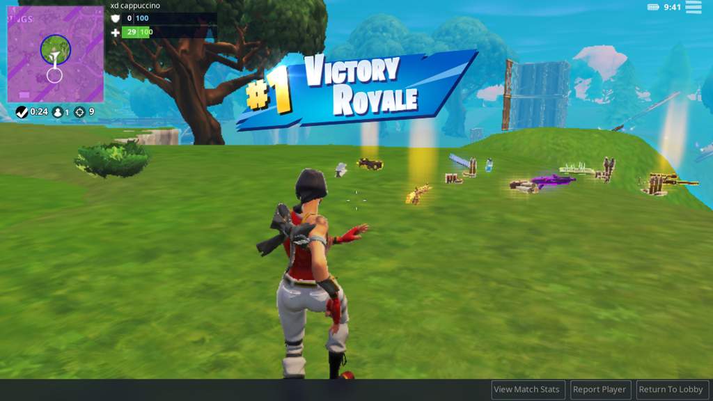 Fortnite 100 solo wins