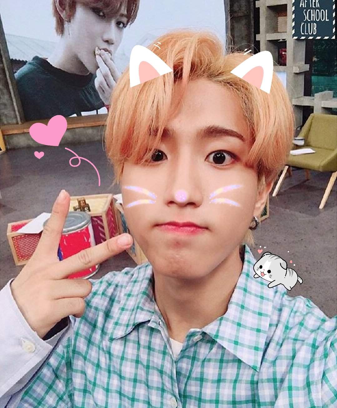 And the cutest boy award goes to...JISUNG UWU ️💗 ️💗 ️ | Stray Kids Amino