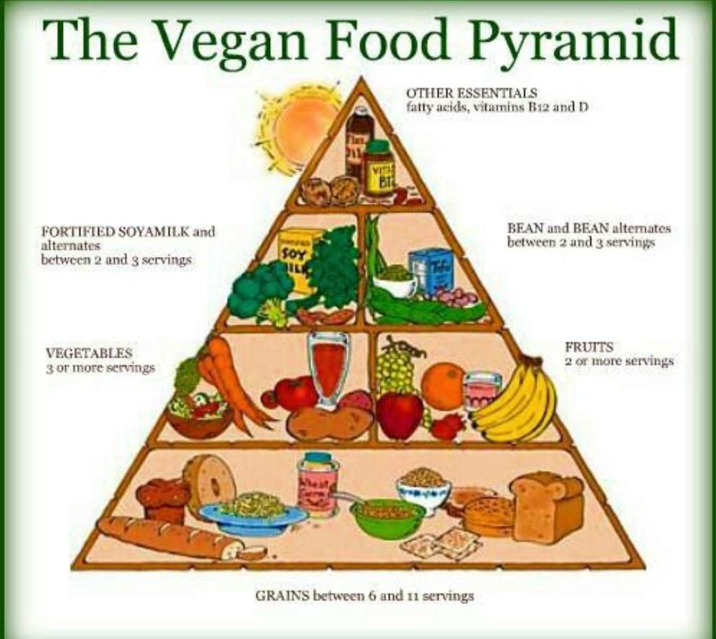 Food Pyramid تعلم اللغة الأنجليزية Amino
