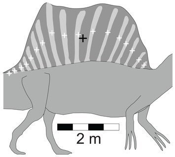 semi aquatic dinosaurs