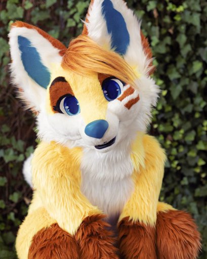 Fuzzer Fox | Furry Amino