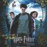 amino-Lyam Potter-Dumbledore-7acdea63