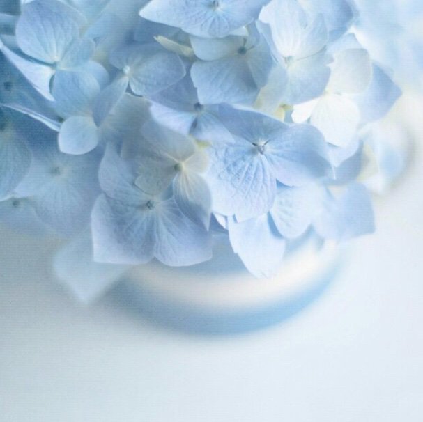 Pastel Blue Aesthetics | Wiki | Art & Aesthetic Exploration Amino