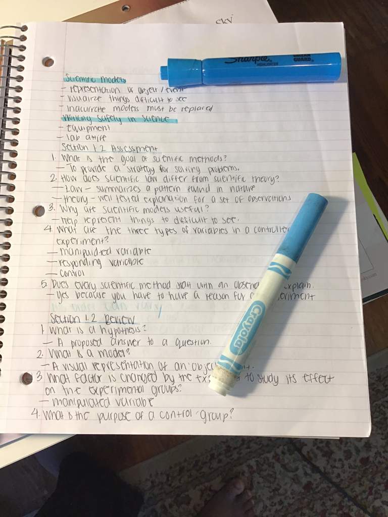 goodnotes note taking