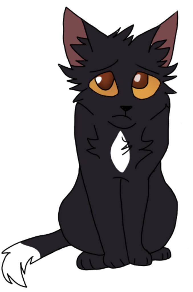 ravenpaw plush