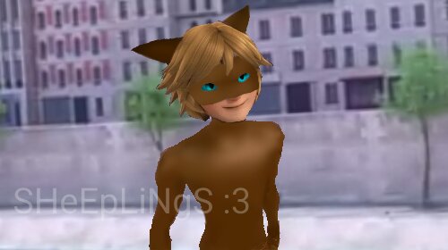 Kangaroo my partner | Miraculous Amino