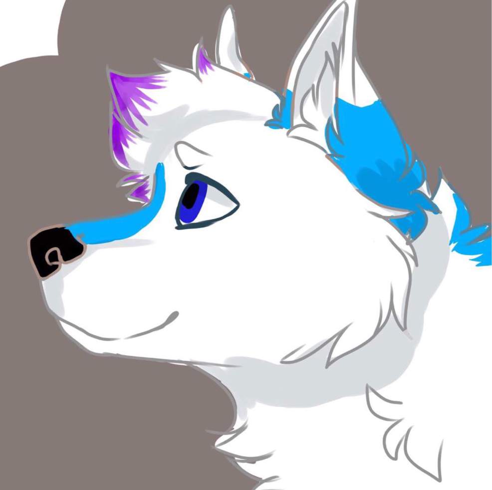 Frosty Clawz | Furry Amino