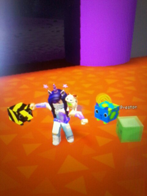 Pet Simulator Wiki Roblox Amino - gallery