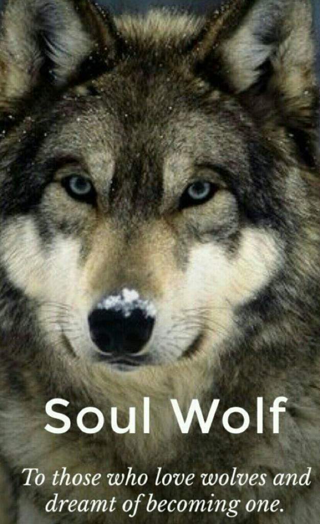 Image result for WOLF quotes