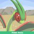 amino-🍂Flygon🍂-8dd17fe2