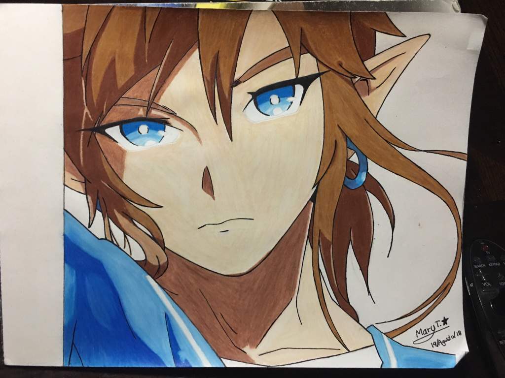 Este fue el Noveno dibujo que hice con los Prisma color Premium. Juego: The  Legend Of Zelda-Breath Of The Wild. Personaje: Link. | •Anime• Amino