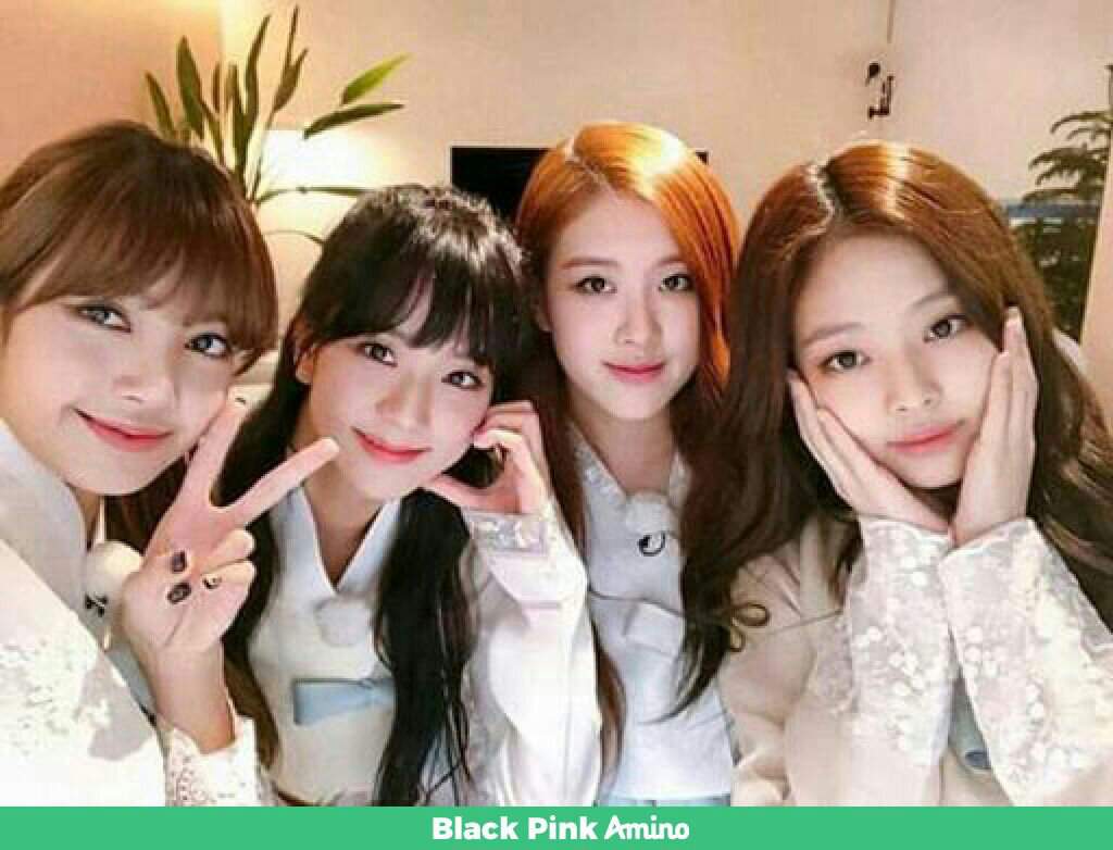 Blak Pink💕 | •BLACKPINK• Amino