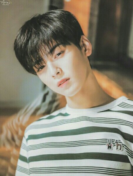 Cha Eun Woo Haircut - Korean Idol