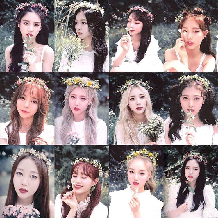 🔸Finally introducing LOONA🔸 | LOONA Amino