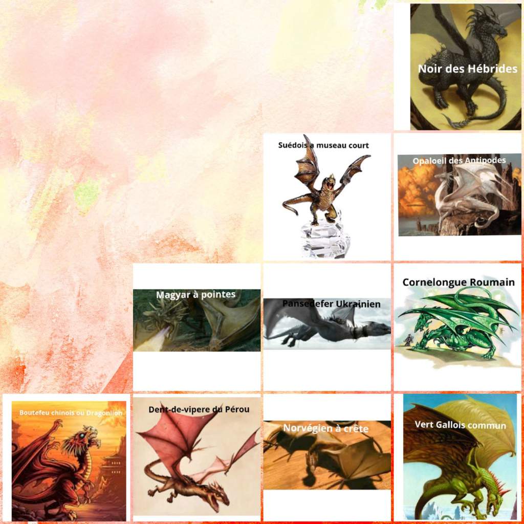 Dent De Vipère Du Pérou 🌀Les dragons🌀 | Harry Potter Fr Amino