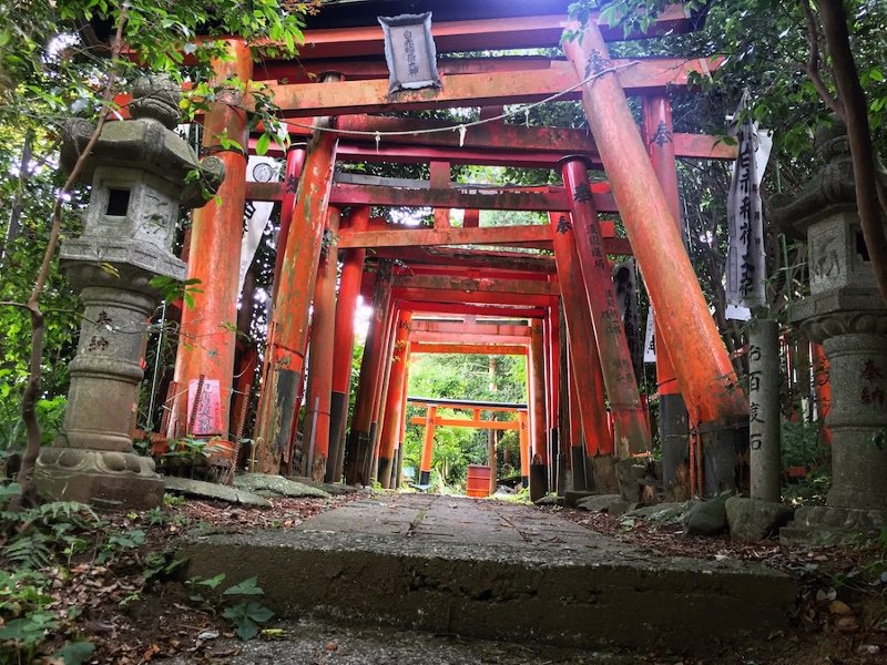 Inari Okami (稲荷大神) | Wiki | Pagans & Witches Amino