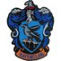 amino-📚⚡️RavenclawPrefect14⚡️📚-bc875703