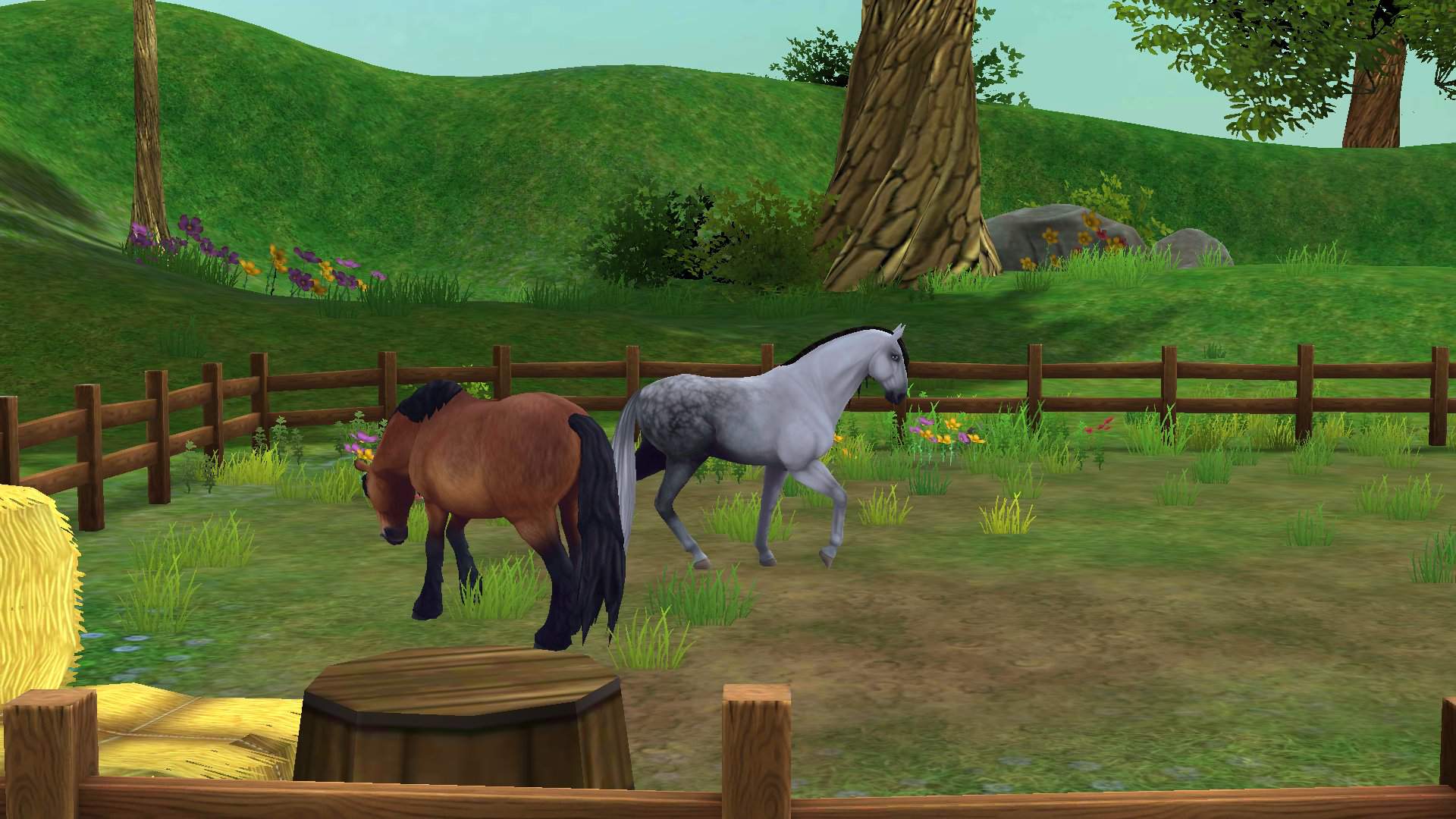 One of my many favorite horses from sso | Wiki | Star Stable Online Amino