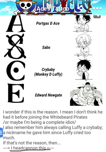 Nariko One Piece Amino
